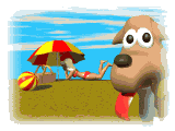 plagist images-animate-gif